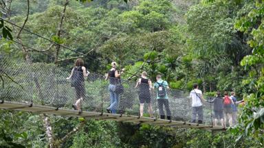 costa rica_puntarenas_monteverde_boomtopwandelen_w