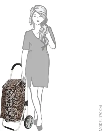 Alberic - Boodschappenkar - Afneembare tas