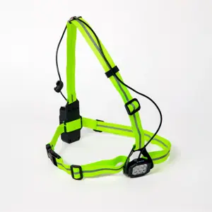 BOWINQ Boston 600 - Borstlamp oplaadbaar