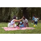 Picknick Plaid - Met voering - 180 x 140 cm