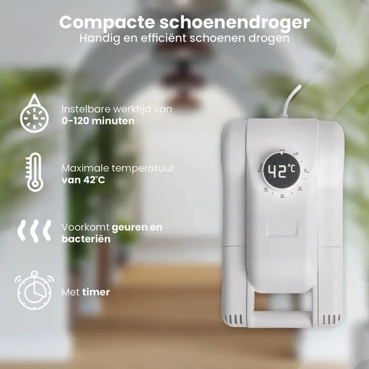 Compacte Elektrische Schoenendroger