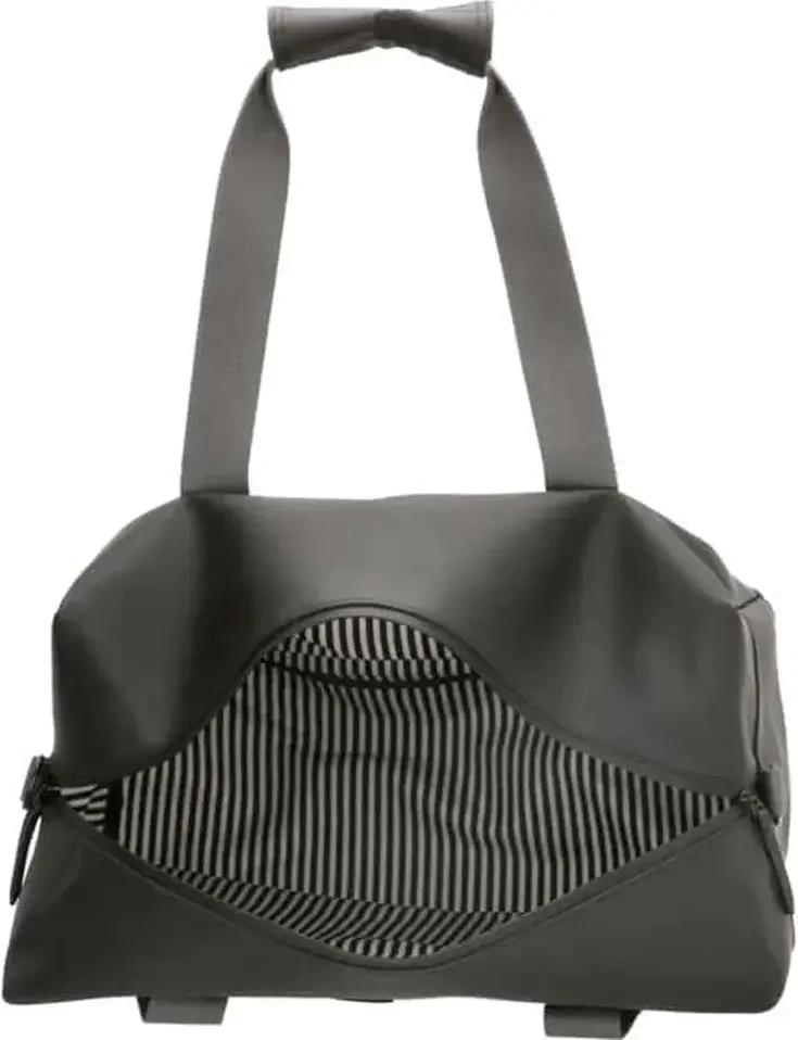 Beagles - Neville - Reistas