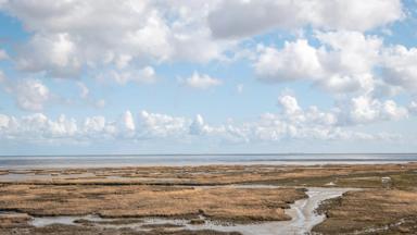 Waddeneilanden