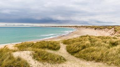 denemarken_national park thy_natuurreservaat_strand_shutterstock_651604858