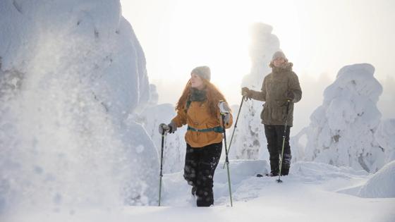 finland_fins-lapland_ruka_sneeuwschoenwandelen_juhannuskallio_lumikenkaily_2021_harritarvainen