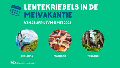Fox-reizen_visual-familiecampagne_meivakantie