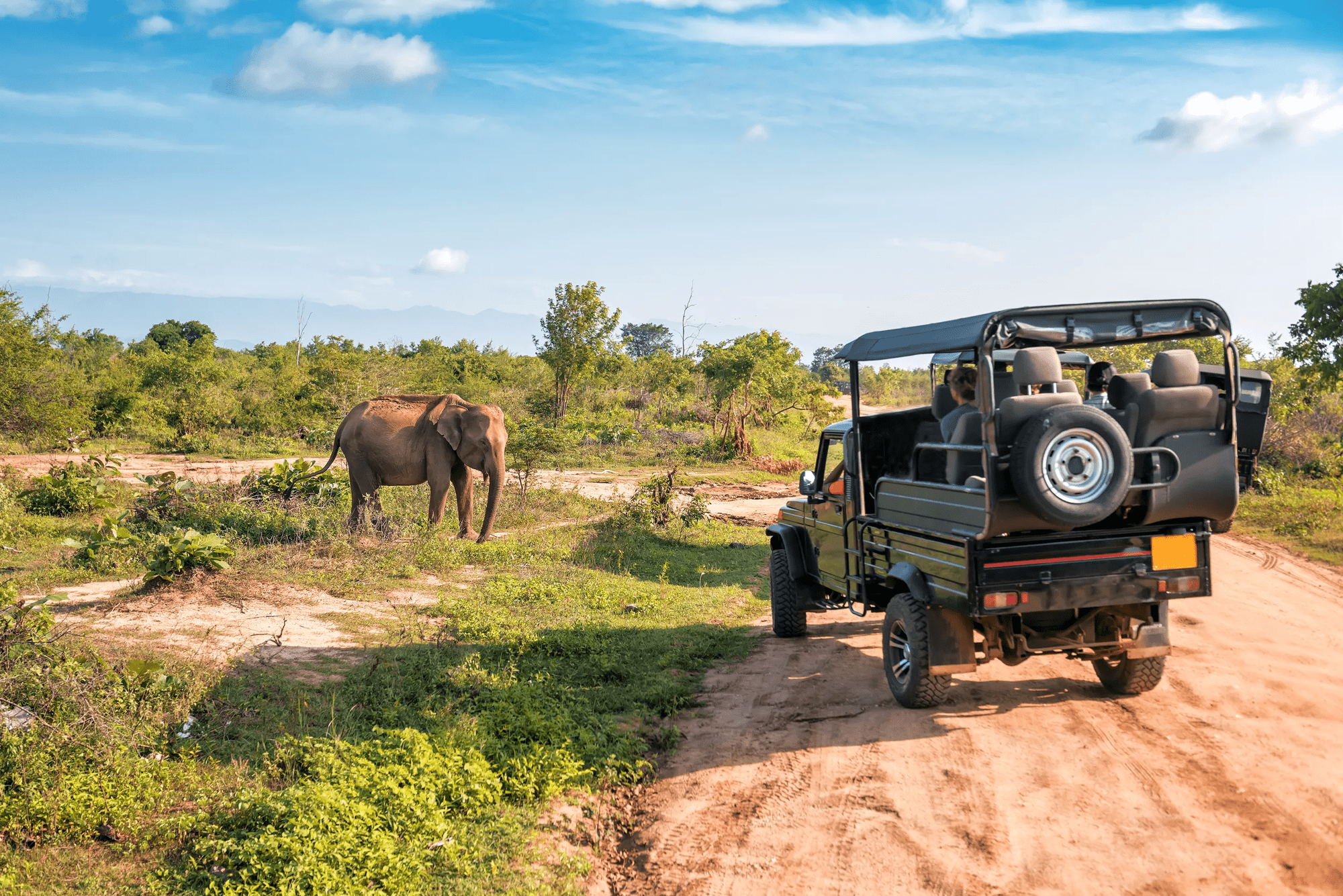 16-daagse privérondreis Sri Lanka's Mooiste van de Natuur met privéchauffeur