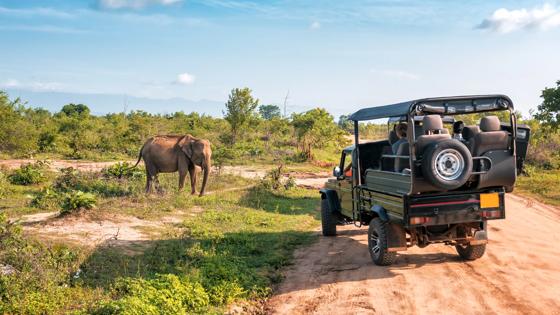 sri-lanka_udawalawe_safari-jeep-olifant_shutterstock