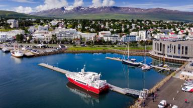 Noord-IJsland-Akureyri-walvissafari_h