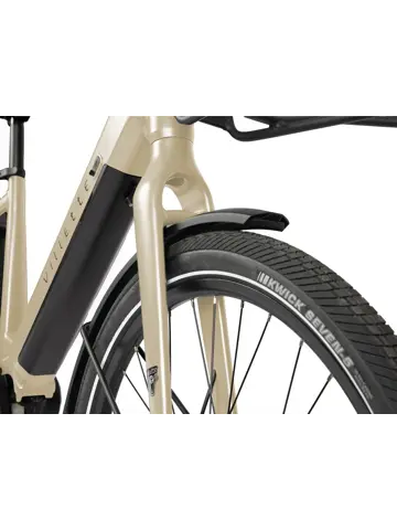 Extreme MM city-ebike 13 Villette