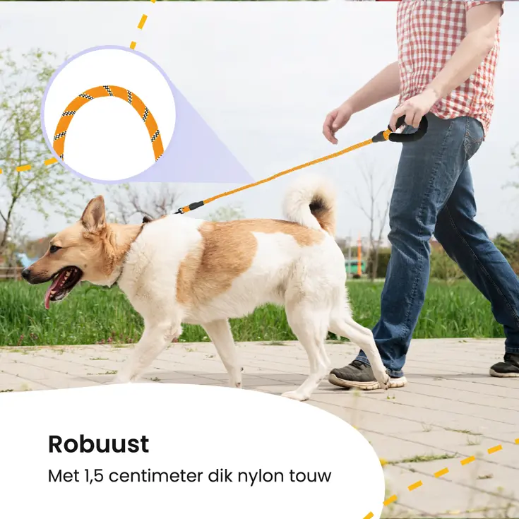 Reflecterende Hondenriem 3m