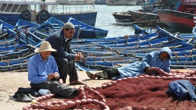 marokko_marrakech-safi_essaouira_boot_haven_visser_mens_net_w