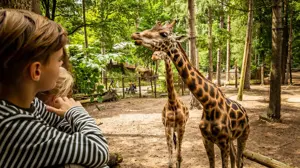 Zomeractie DierenPark Amersfoort Regulier