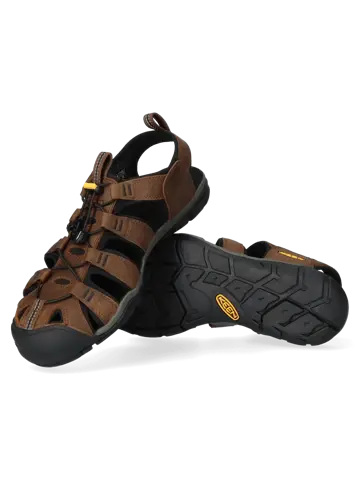 Clearwater - Wandelschoenen - Heren