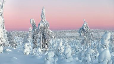 FinsLapland_Ruka_Kuusamo_Omgeving_avondrood_h