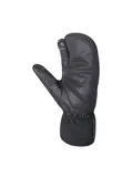 Alaska Pro Handschoenen