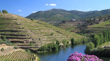 Portugal_Douro_cruises_Vasco da Gama_zicht op wijnranken met rivier_copyright
