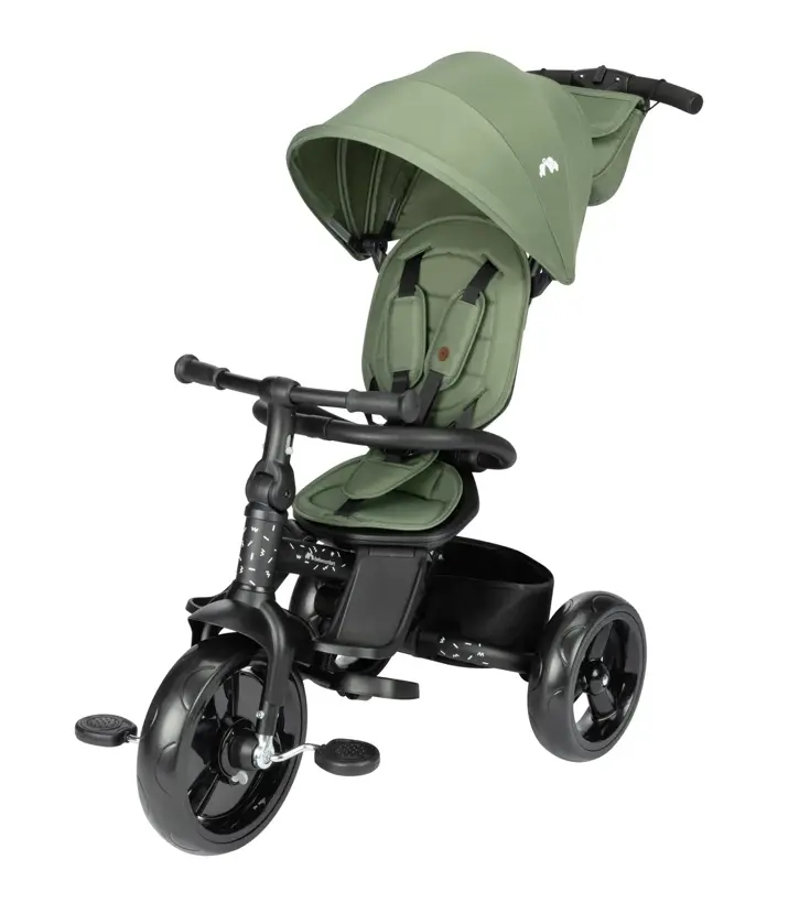 Windy kinderwagen - 2-in-1 driewieler