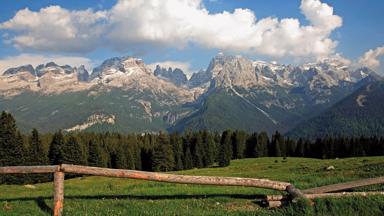 italie_trentino_dolomiti-di-brenta_bergketen_vallei_bos_hek_pio-geminiani-trentino-marketing_redactioneel.jpg