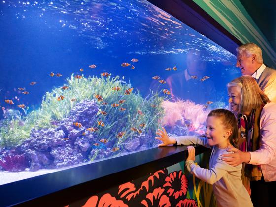 Impressie van SEA LIFE Scheveningen