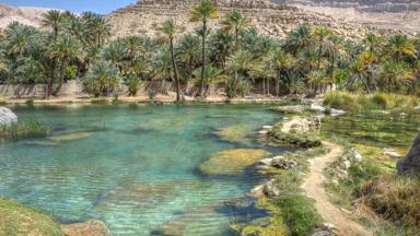 oman_ash-sharqiyah_sur_wadi-bani-khalid_oase_overzicht_shutterstock