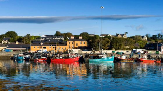 sfeer_ierland_kerry_ring-of-beara_castletown-bearhaven_haven_tourism-ireland (1).jpg