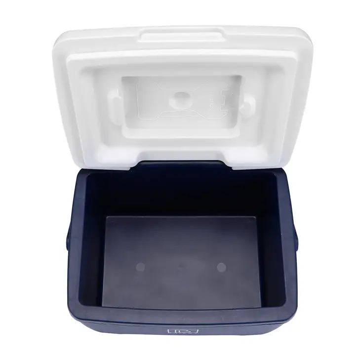 Koelbox - Lunchbox - 8L