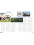 Wine Trails