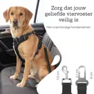 Hondengordel voor Auto - 2 stuks - Zwart