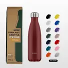 FLASKE 500 ml  RVS Drinkfles