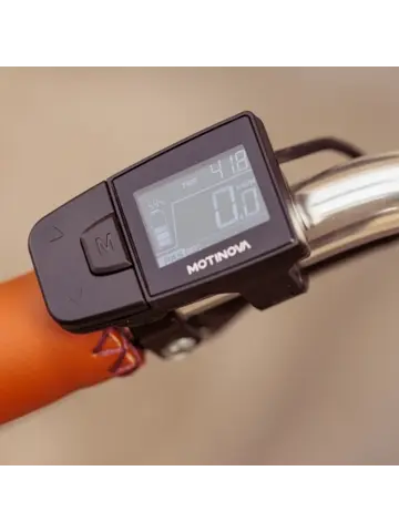 Valencia E-Bike 54CM