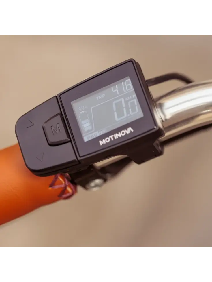 Valencia E-Bike 54CM