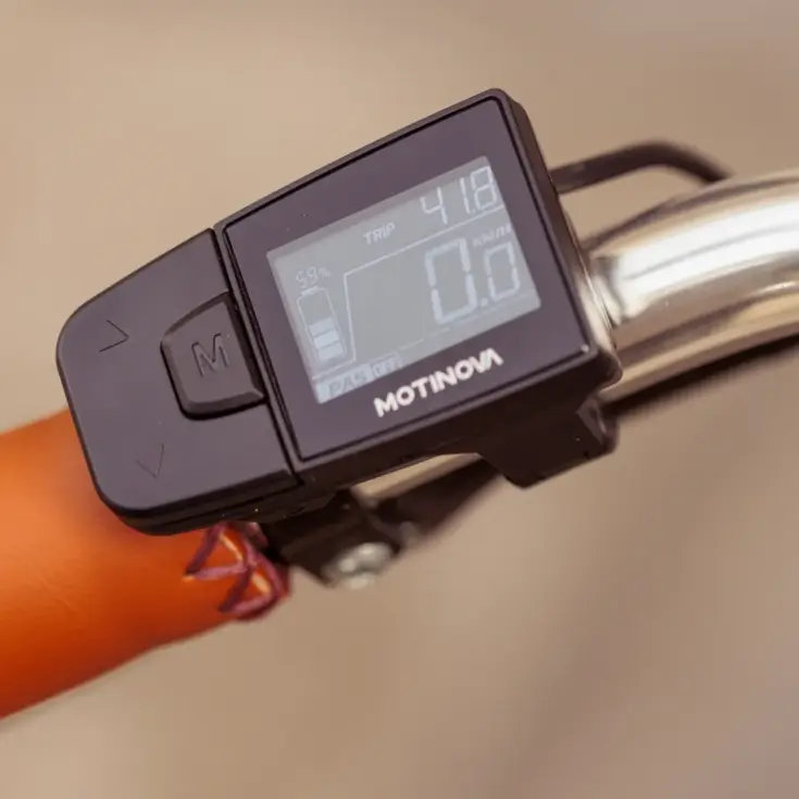 Valencia E-Bike 54CM