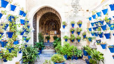 spanje_andalusie_cordoba_patio_bloembakken_shutterstock_239275213