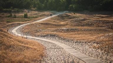polen_baltische-staten_litouwen_duinen_vlonder_wandelpad_wandelaar_koppel_duo_stel_duingras_zand_bosrand_bos_getty