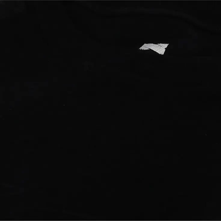 Merinowol - Heren - Thermoshirt