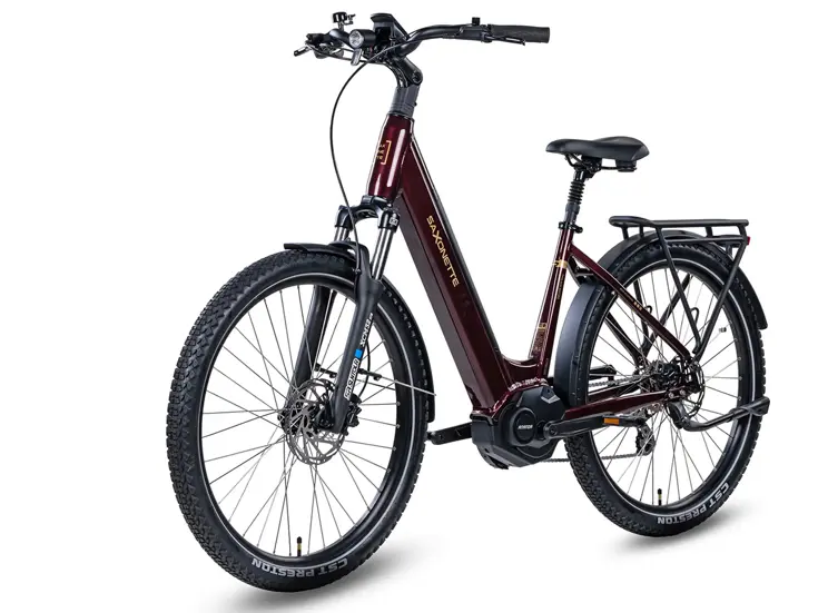 Deluxe SUVEasy ebike midmotor
