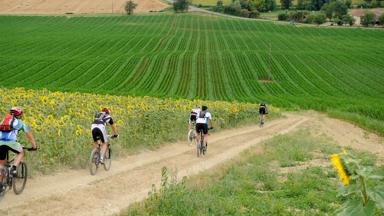 camping_frankrijk_gers_roquelaure_camping_yelloh_village_le_talouch_omgeving_boerenland_mountainebiken_h