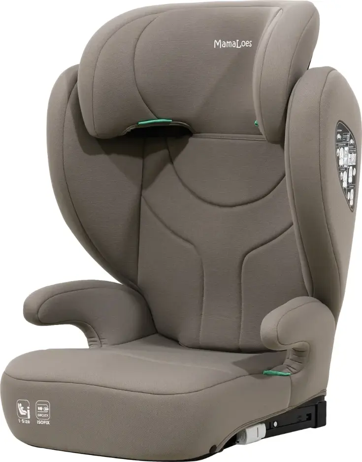 Rio Isofix 100-150 cm i-Size Autostoel