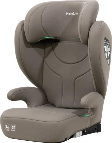 Rio Isofix 100-150 cm i-Size Autostoel