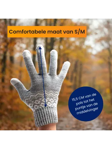 Touchscreen Handschoenen Winter - Grijs