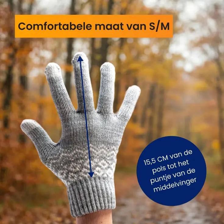 Touchscreen Handschoenen Winter - Grijs