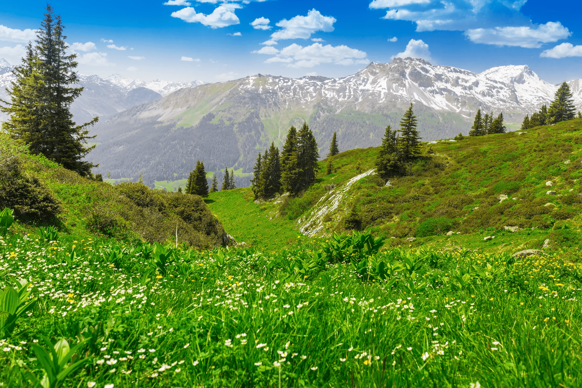 9-daagse rondreis Zwitserland - Grand Tour van Zwitserland afbeelding 1