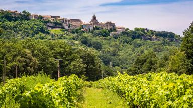 frankrijk_provence-alpes-côte-d-azur_venasque_provence_wijngaard_vrouw_dorp_shutterstock