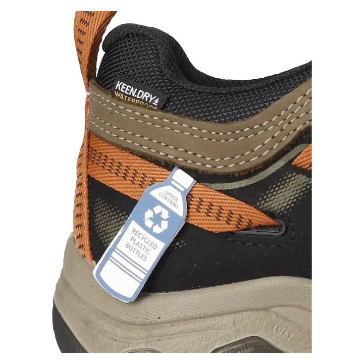 Targhee IV - Wandelschoenen - Heren