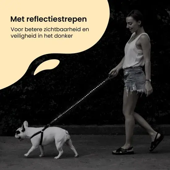 Reflecterende Hondenriem 2m