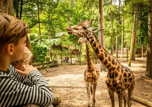 DierenPark Amersfoort Dinsdag Deal