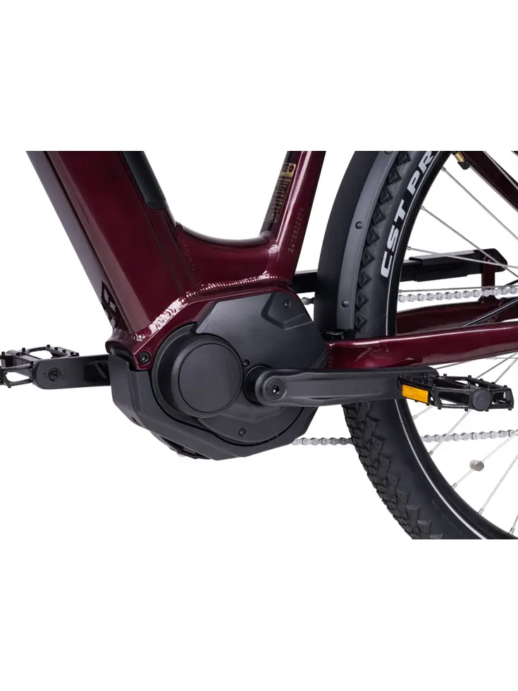 Deluxe SUVEasy ebike midmotor