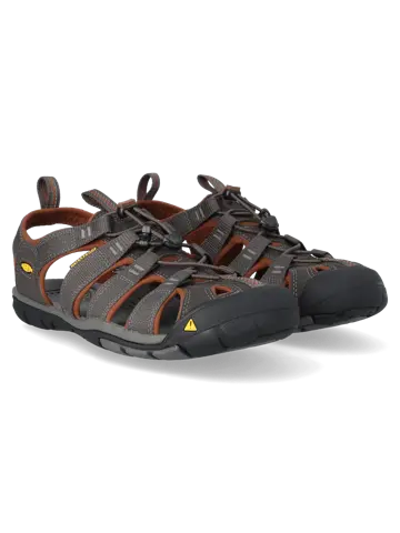 Clearwater CNX - Wandelschoenen - Heren