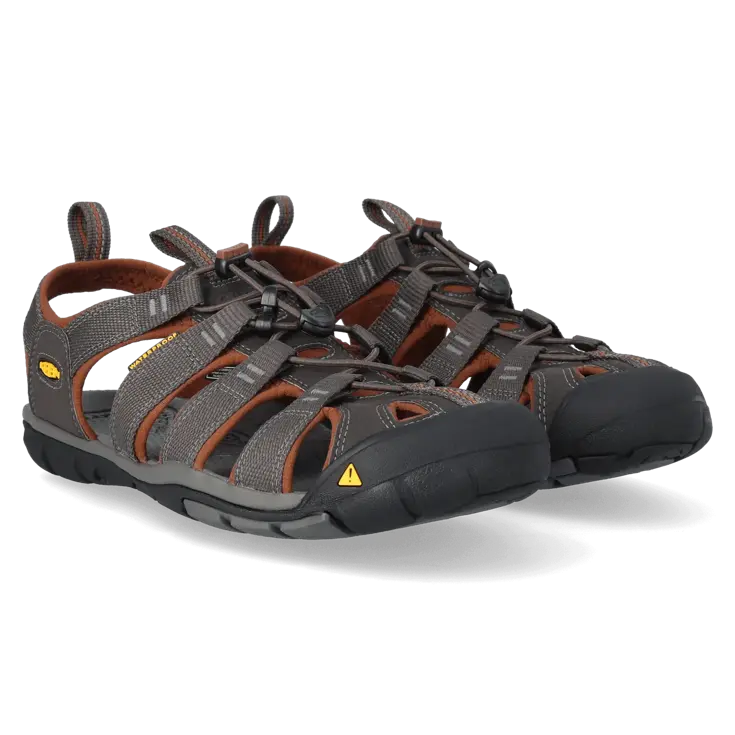 Clearwater CNX - Wandelschoenen - Heren